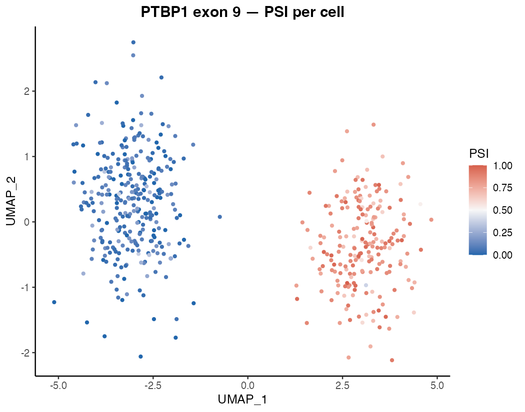 PSI values for Ptbp1 exon 9 overlaid on a UMAP of mouse cortex cells. Neurons skip this exon; astrocytes include it.