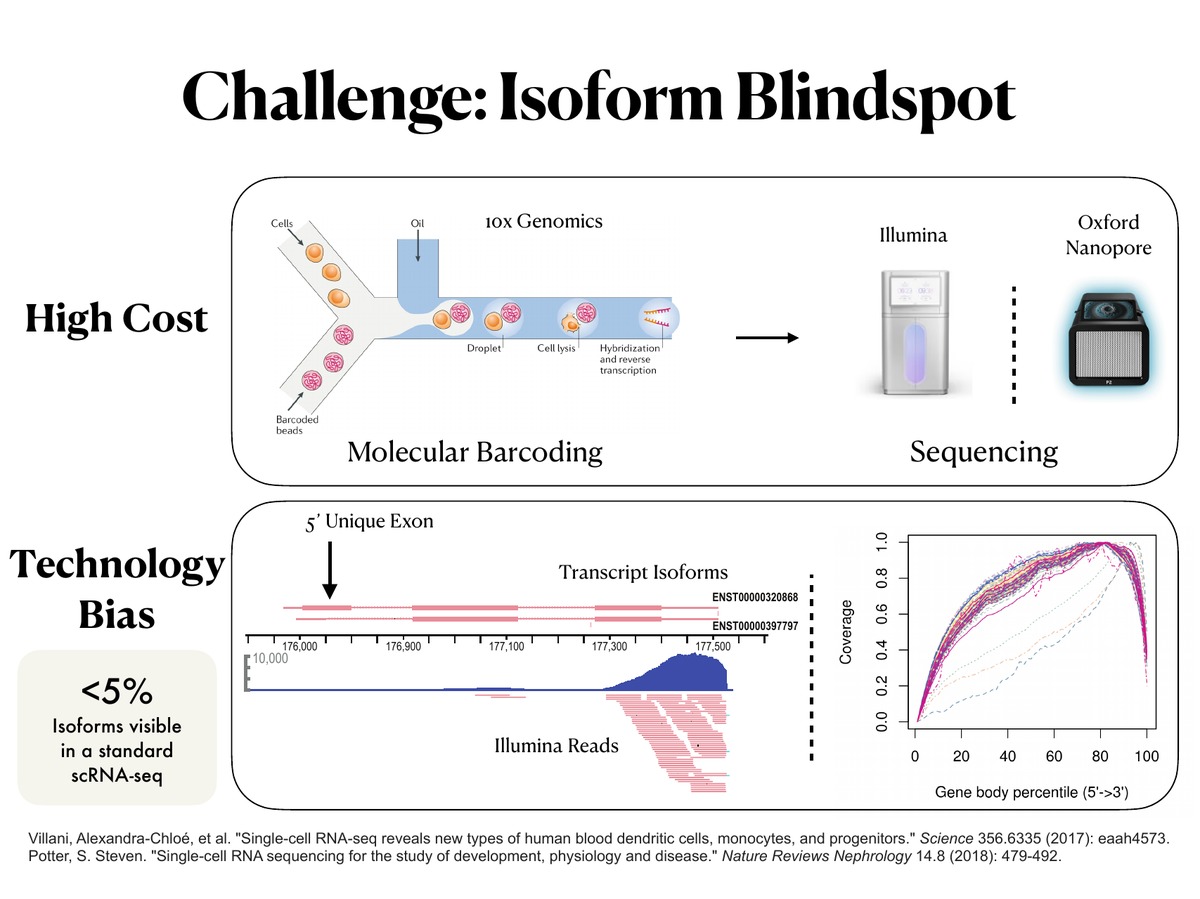 The isoform blindspot — fewer than 5% of transcript isoforms are visible to standard scRNA-seq